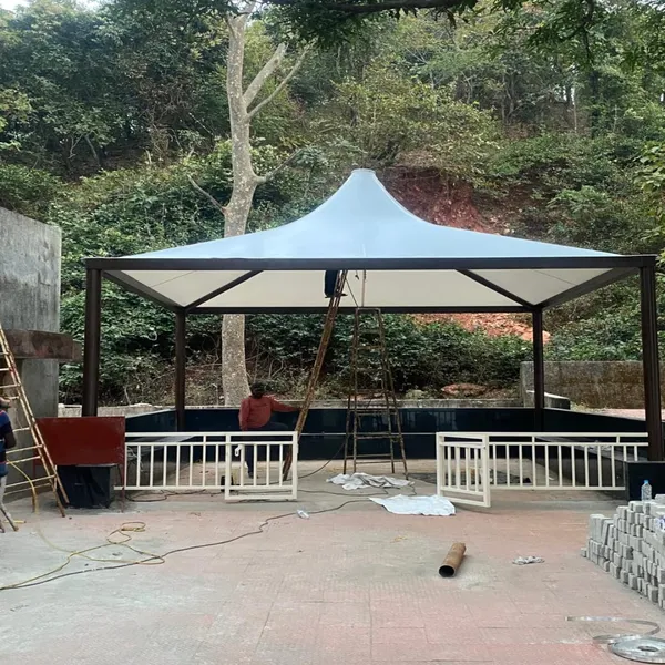 Pangdi gondia Maharashtra conepy